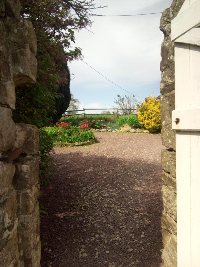 Elevage De La Hurie Saint-Nicolas-de-Pierrepont エクステリア 写真